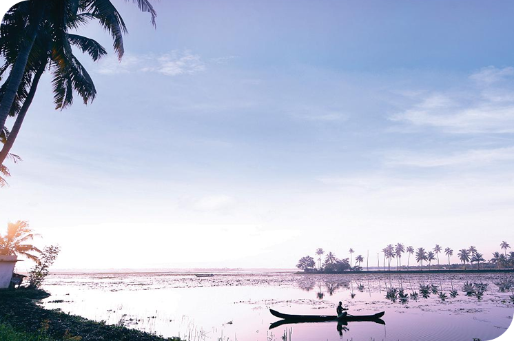 Luxury Kerala Villa