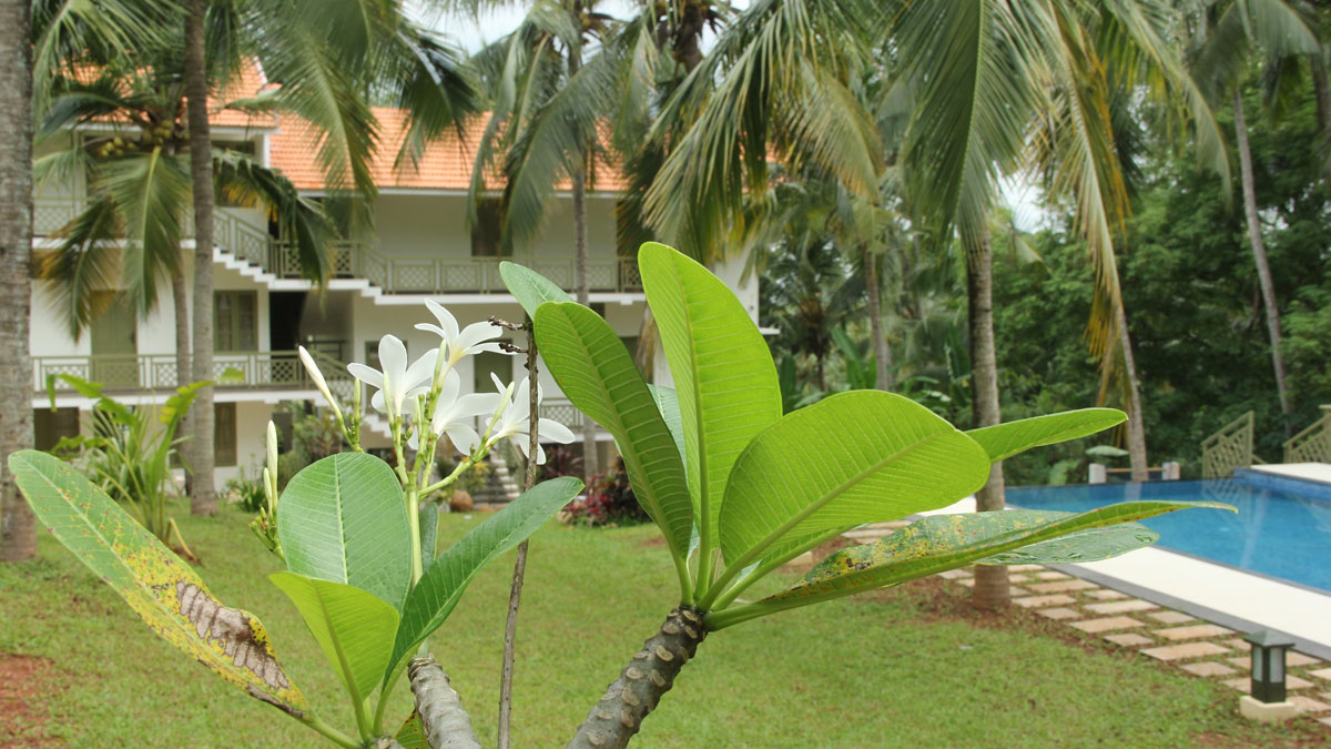 Luxury Kerala Villa